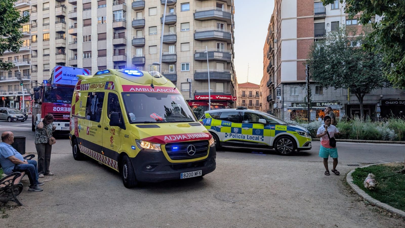 Una mujer es golpeada por una rama en La Alamedilla