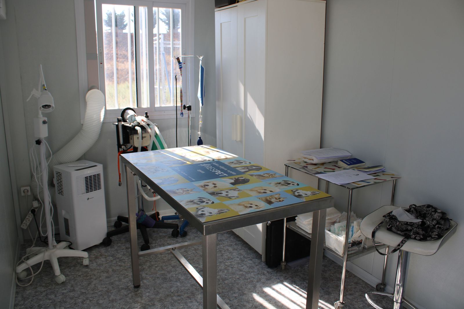 refugio-de-animales-del-ayuntamiento-de-salamanca-21