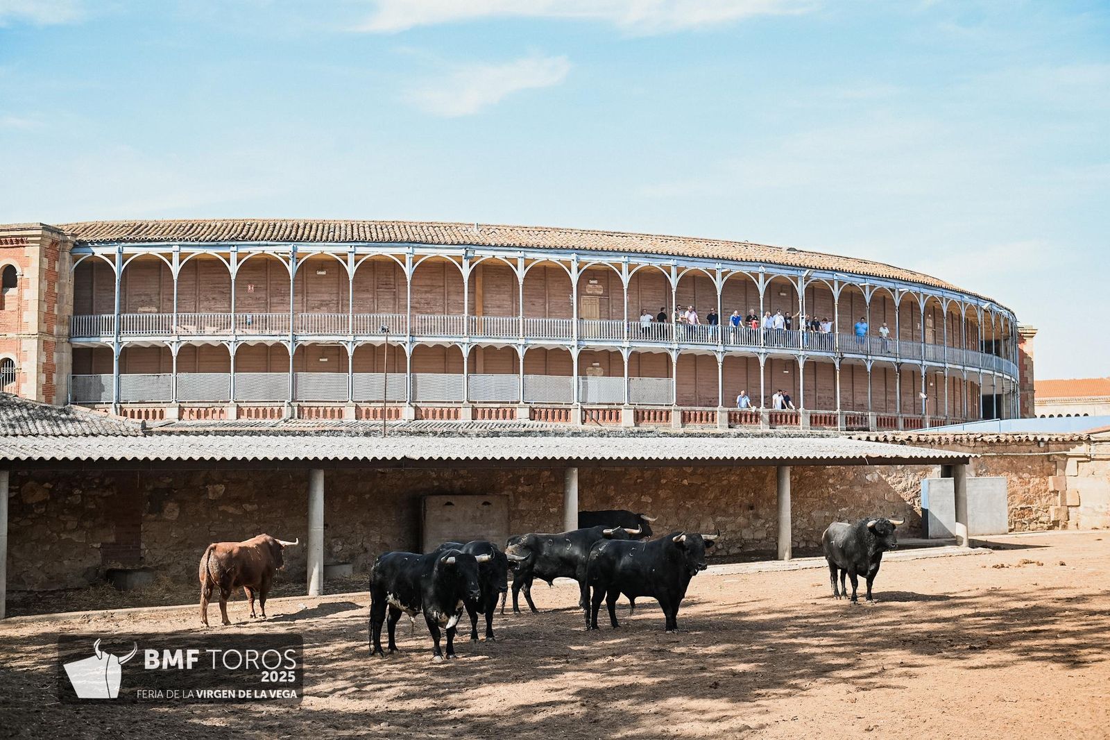 De 'Filósofo' a 'Volador': los toros García y Olga Jiménez para el regreso de Morante a La Glorieta con Ismael Martín y Marco Pérez