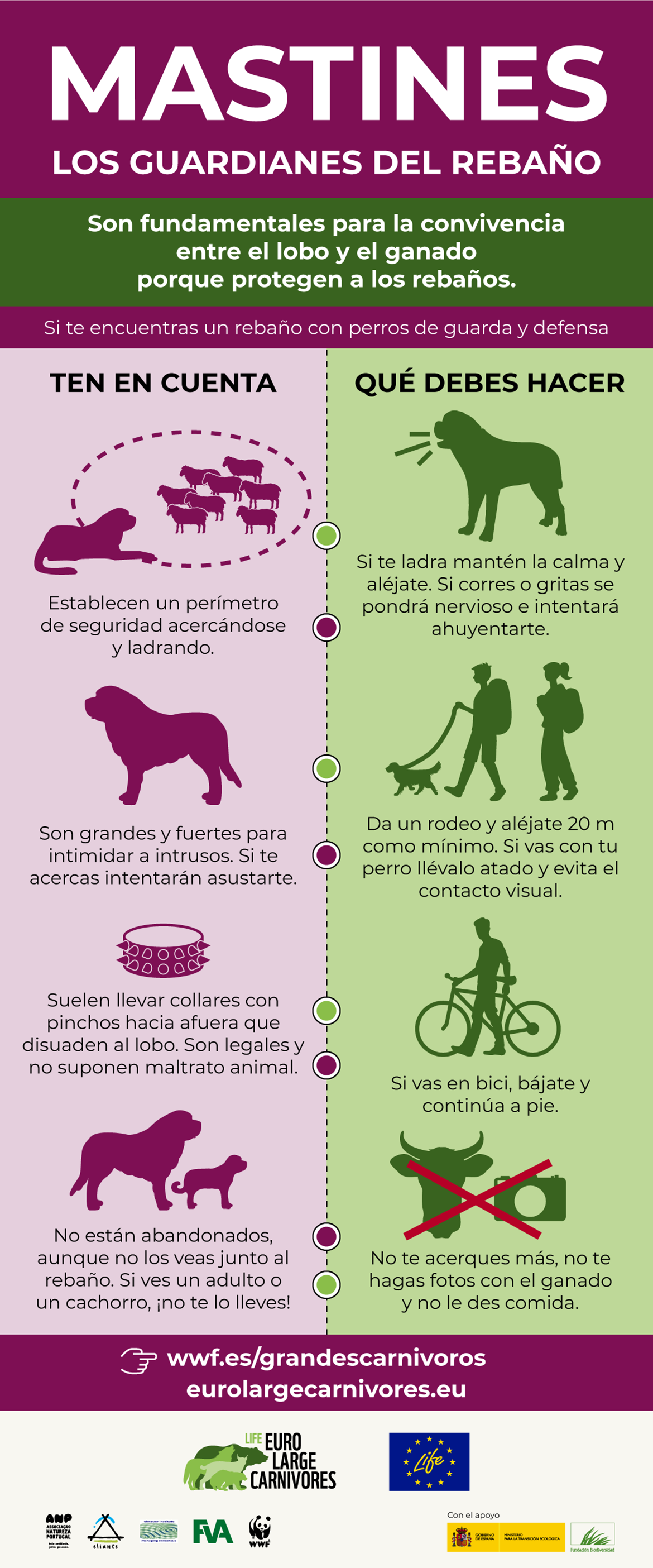 Mastines infografia alta 97727