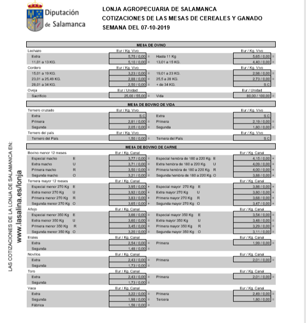 Lonja 7 de octubre (2)