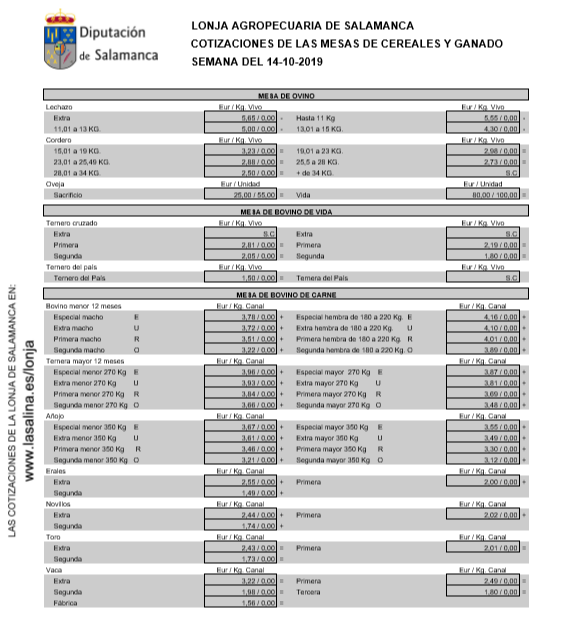 Lonja 14 de octubre (2)