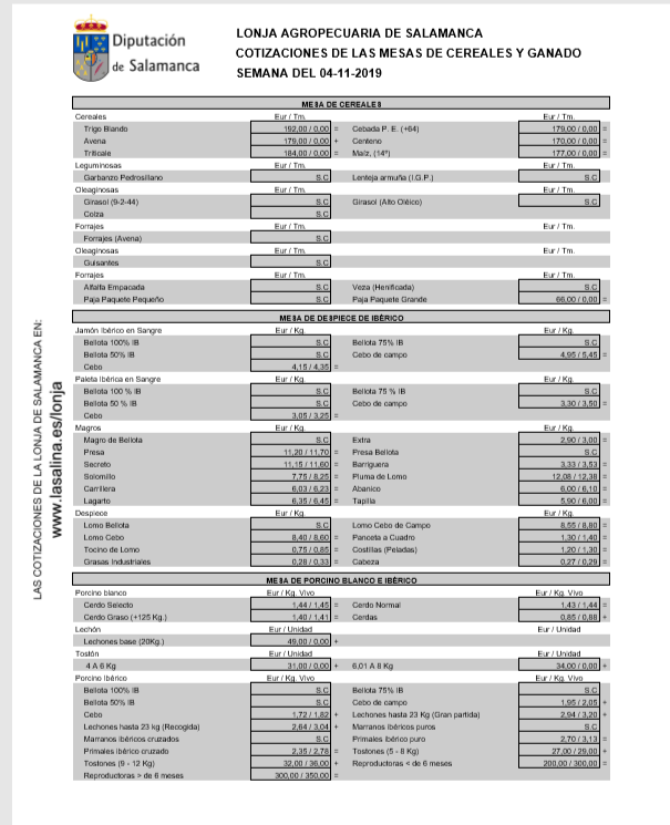Lonja 4 de noviembre (1)