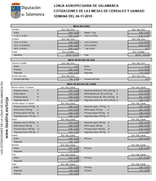 Lonja 4 de noviembre (2)