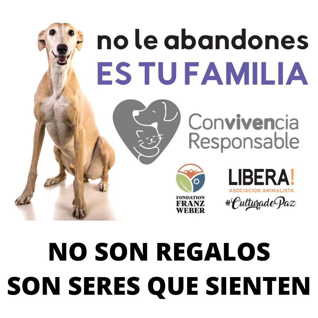 NO SON REGALOS SON SERES QUE SIENTEN