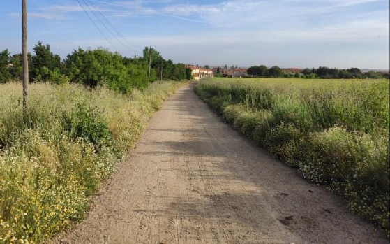 MONTERRUBIO PSOE CAMINOS (1)
