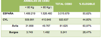 Captura de pantalla 2020 08 25 a las 13.47.49